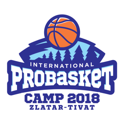 Probasket-camp